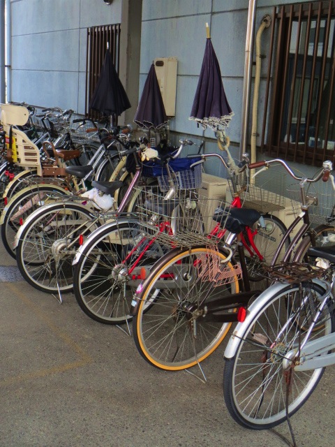 写真 2013-07-25 9 59 47